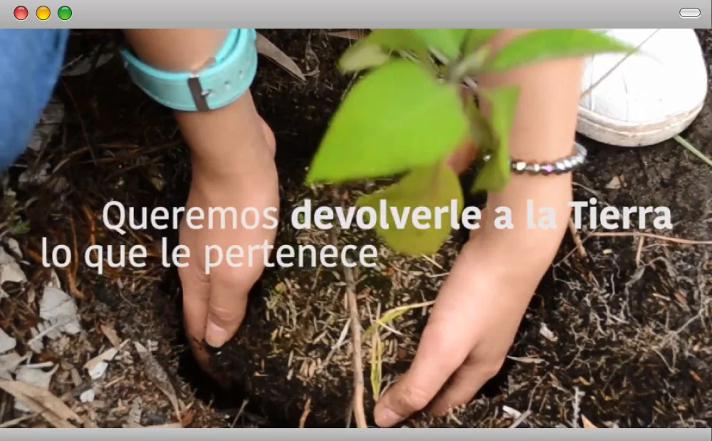 Fundación Red de Árboles Red de arboles